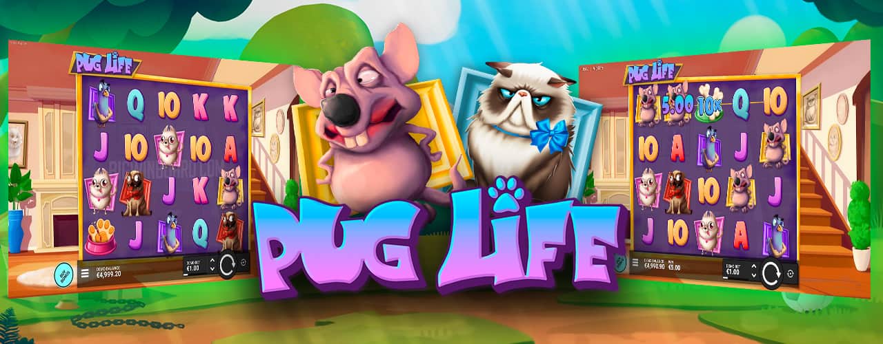 Игровой автомат Pug Life от Hacksaw Gaming